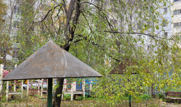 Осень в Воронеже.