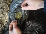 Изъятые наркотики.