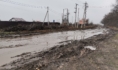 Добро пожаловать на улицу Зеленую.