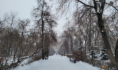 Зима в Воронеже.