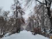 Зима в Воронеже.