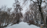 Зима в Воронеже.