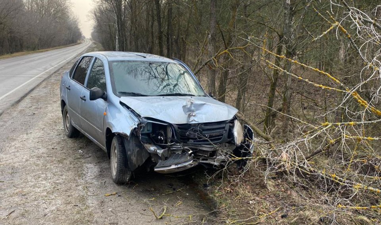 В Воронежской области женщина на «Ладе» протаранила дерево: пострадали два  человека