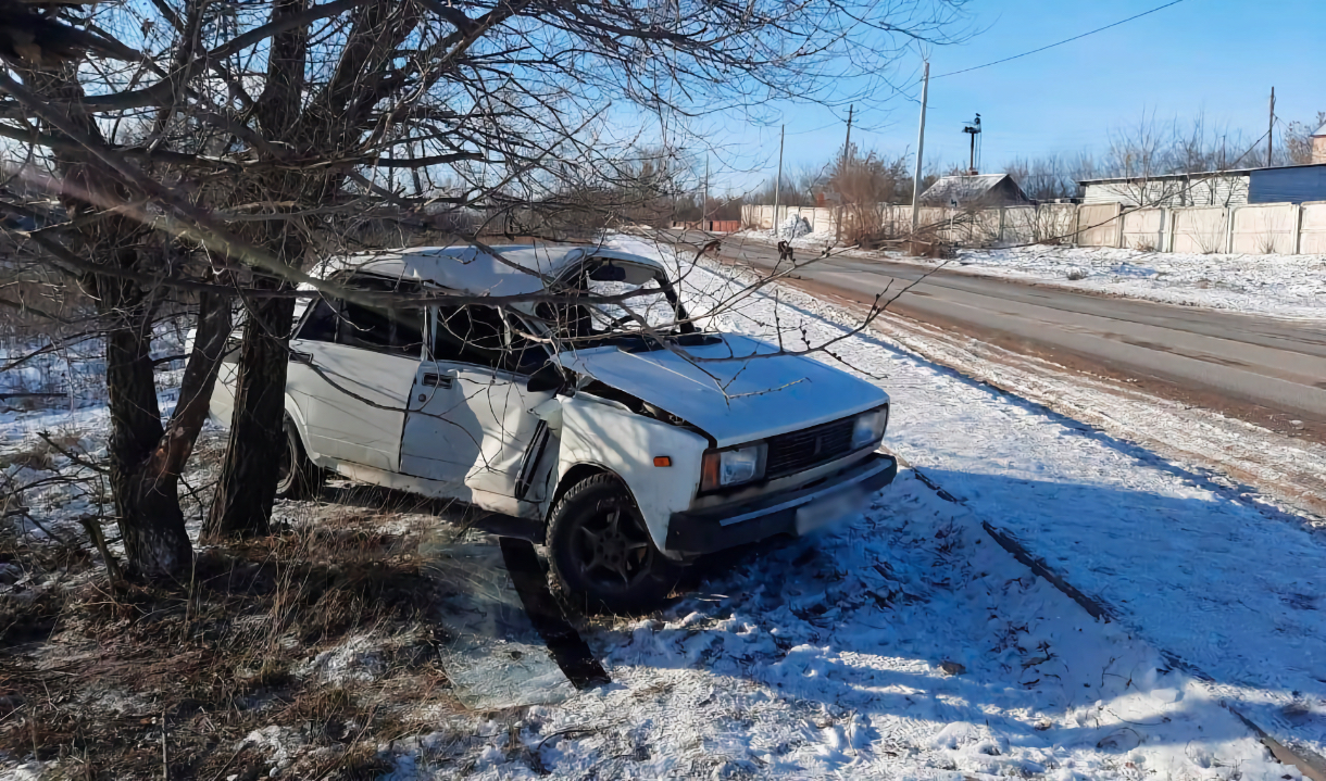 Под Воронежем автоледи за рулем ВАЗ-2105 выехала на встречку, а затем  протаранила дерево