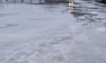 Вода поднялась.