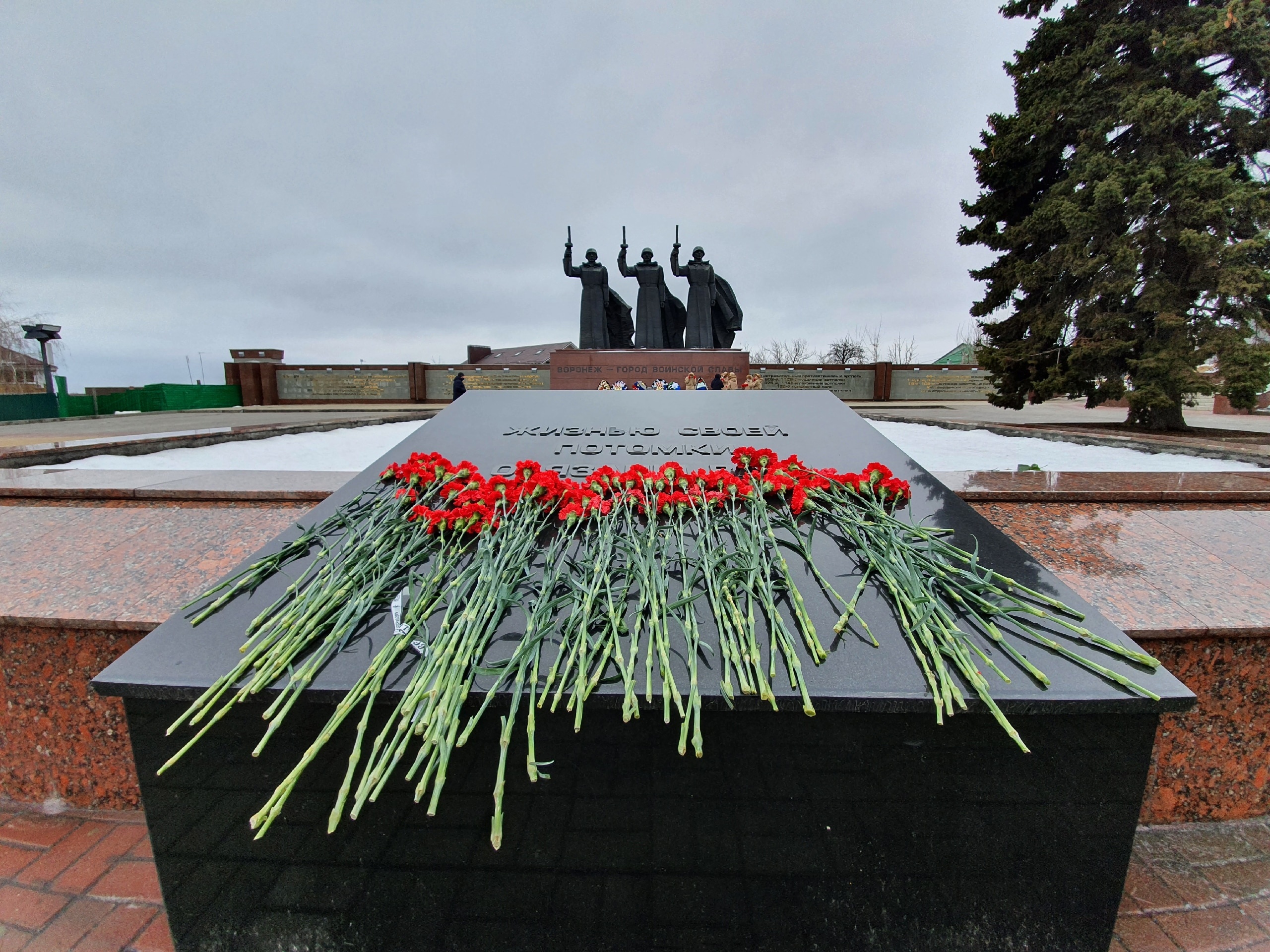 Чижовский плацдарм воронеж фото