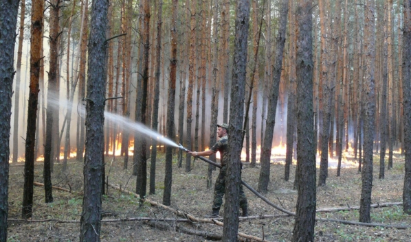 Тушение лесного пожара.