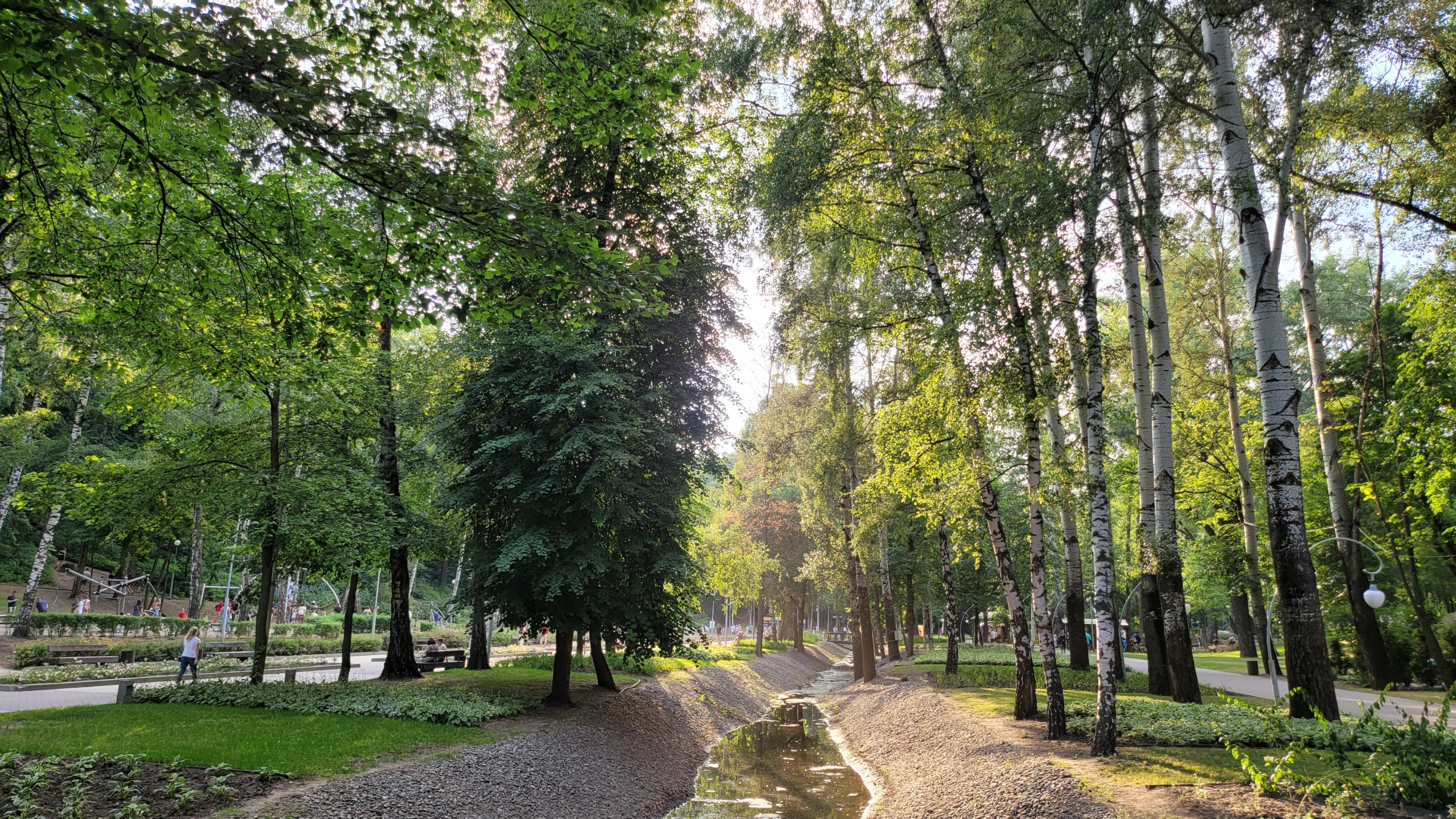 парк роща сердца воронеж