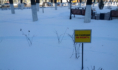 Зима в Воронеже.