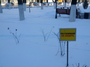 Зима в Воронеже.