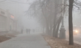 В Воронеже.