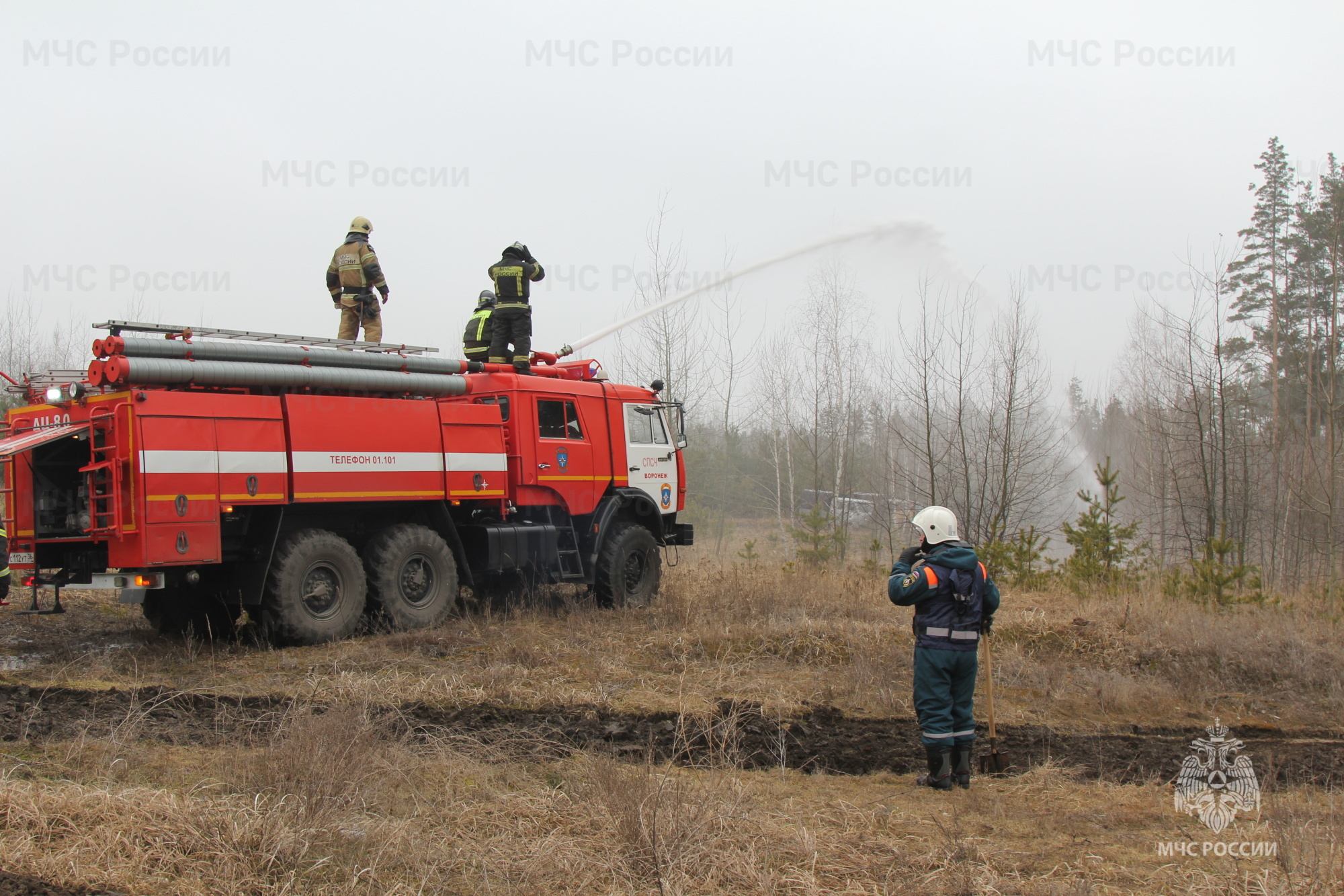 Под Воронежем МЧС провели учения по тушению лесных пожаров