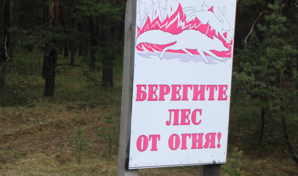 Берегите природу от пожаров.