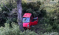Daewoo Matiz врезался в дерево.