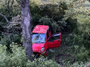 Daewoo Matiz врезался в дерево.