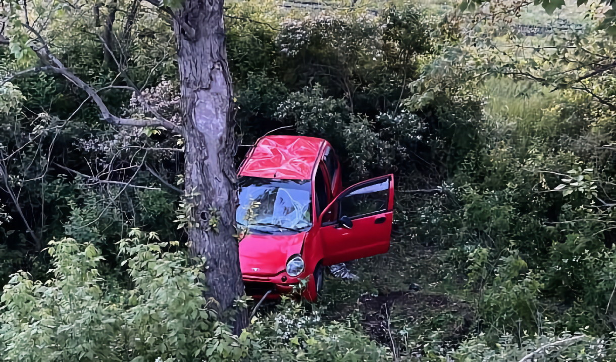 В Воронеже 61-летняя водитель Daewoo Matiz погибла после столкновения с  деревом