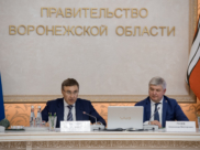 Александр Гусев и Валерий Фальков обсудили перспективы развития воронежской науки и вузов региона.