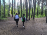 По такой тропе да в школу.