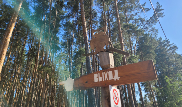 В Воронеже.