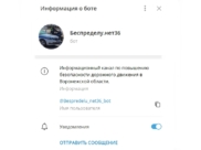 Чат-бот ГИБДД «Беспределу.нет36».