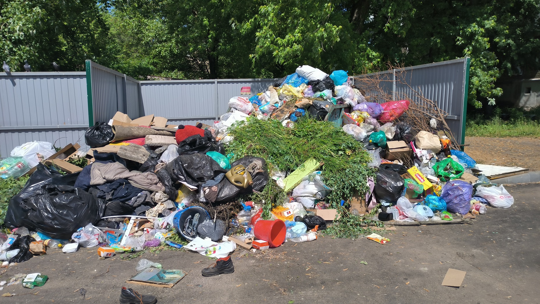 В Воронеже обновленная площадка для сбора мусора превратилась в вонючую свалку