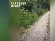 За зарослями скрывается обрыв.