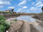 Запах не передать словами.