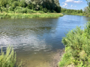 Река Ворона.