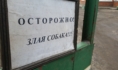 Злая собака.