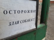 Злая собака.