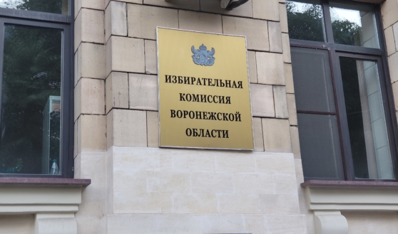Избирком Воронежской области.