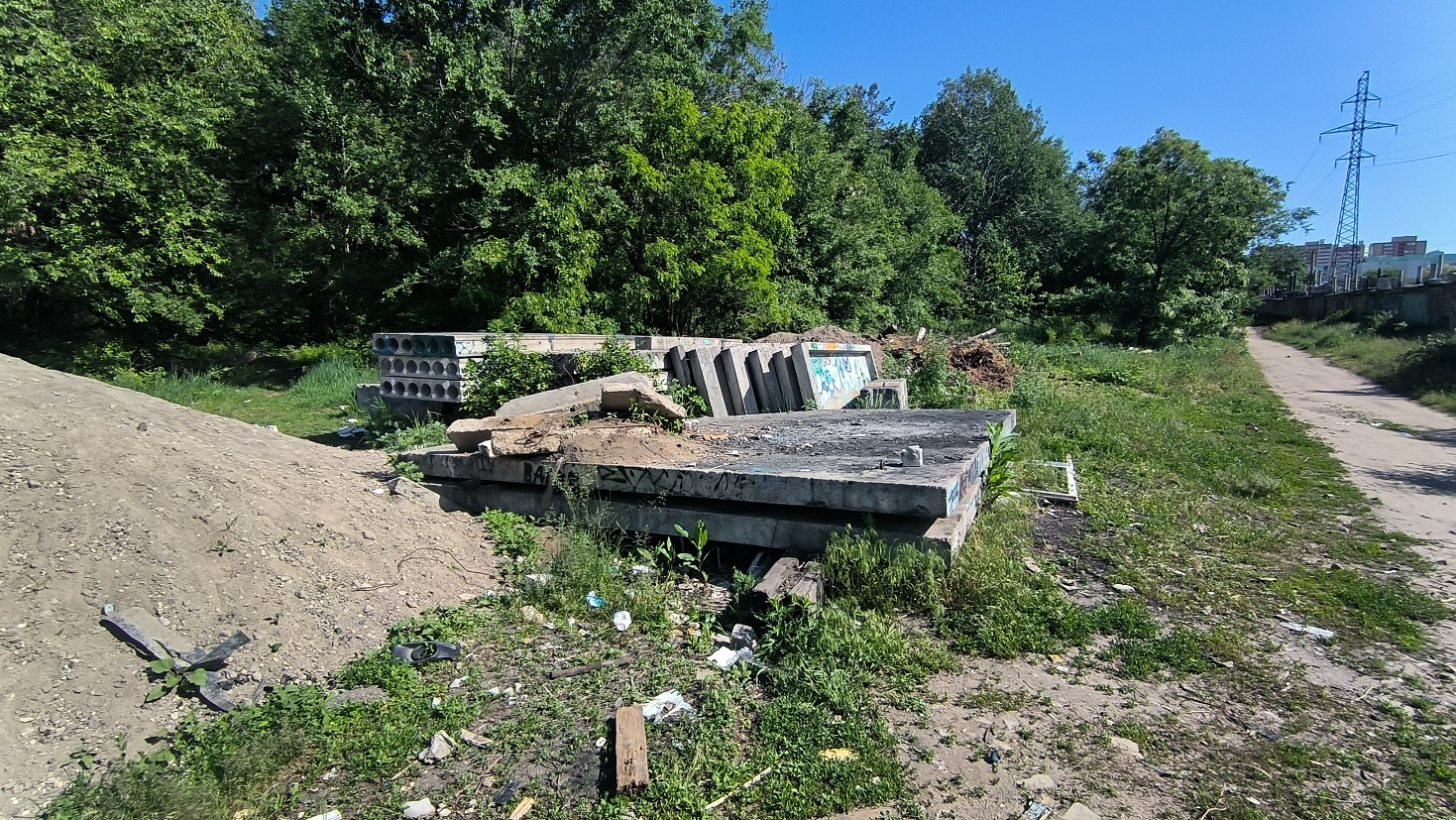 воронеж парк северный лес