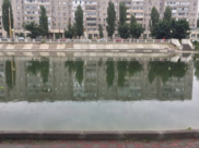 Тело обнаружили в этом водоеме.