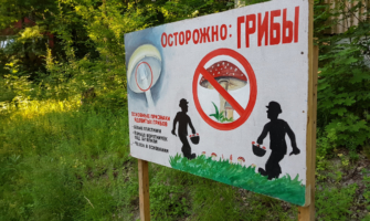Осторожно: грибы.