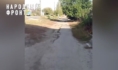 Такой тротуар.