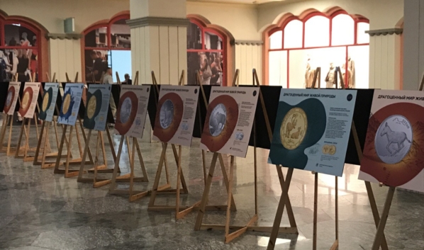 Выставка изображений монет.