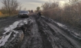 Так выглядит дорога в село.