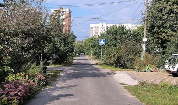 В Воронеже вновь вернули «лежачих полицейских» на девять улиц.
