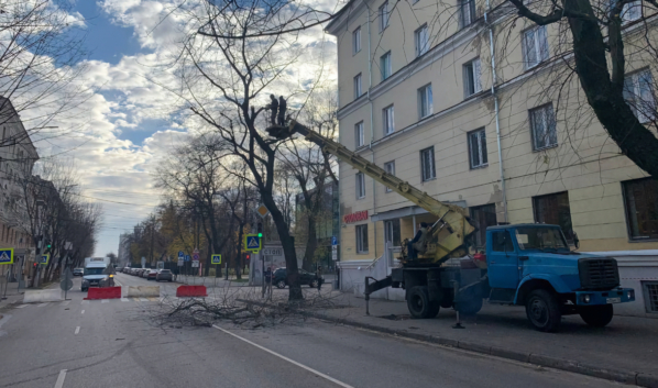 Деревья вырубили.