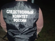 Дело расследует СК.