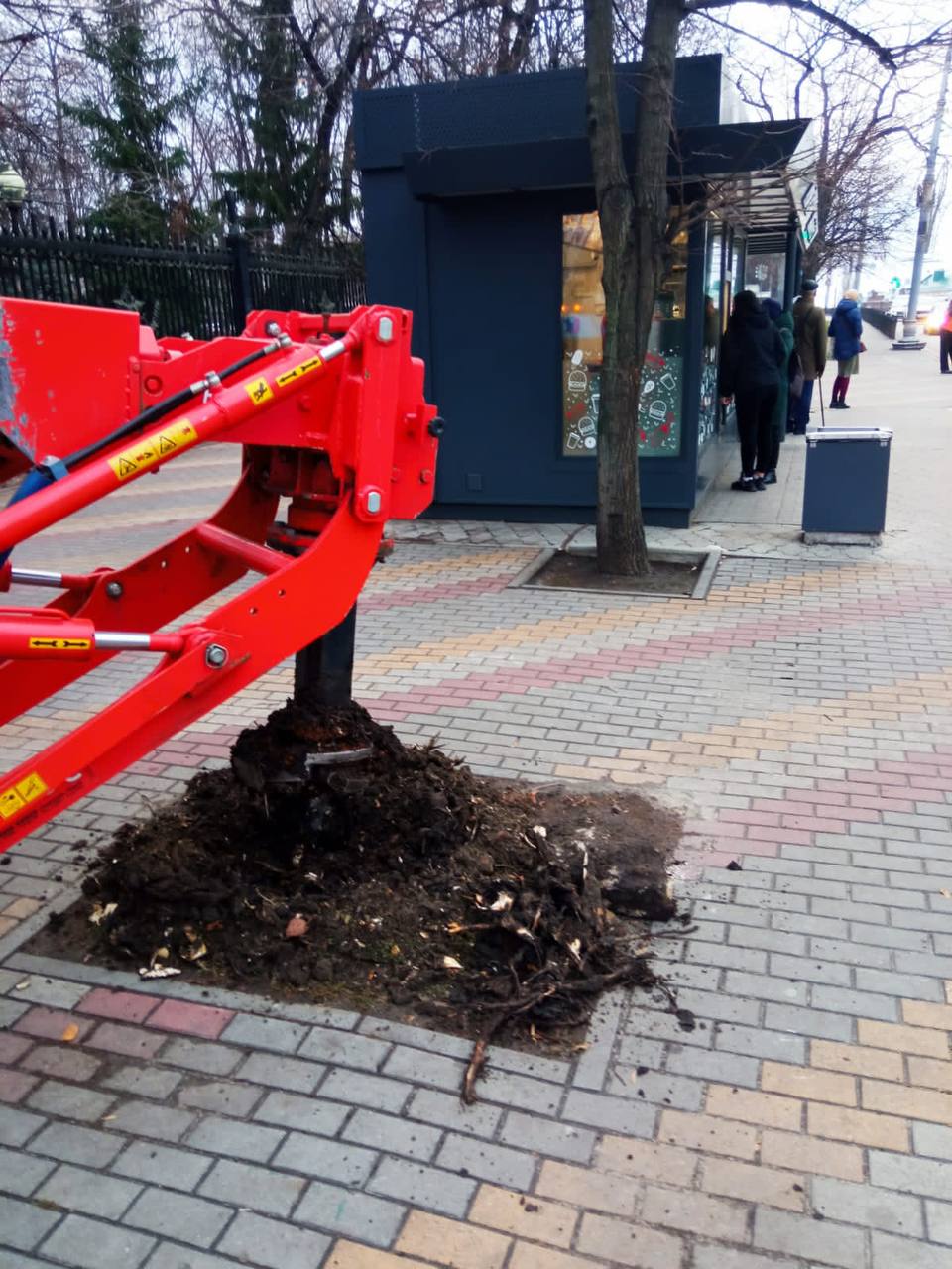 В центре Воронежа выкорчевывают оставшиеся от аварийных деревьев пни