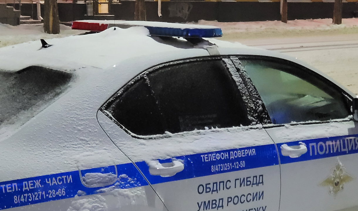 В Воронеже оштрафовали водителя «Ауди», в окне которой танцевала девушка