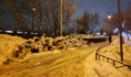 В Воронеже горы не только из снега, но и из мусора.