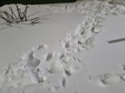 Засыпанный снегом двор в Воронеже.