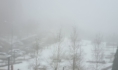 Туман в Воронеже.