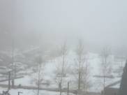 Туман в Воронеже.