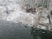 В Воронеже сегодня мокро и скользко.
