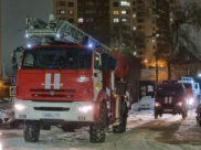 Два десятка спасателей боролись с огнем.