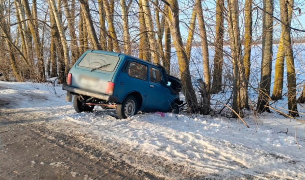 Машина врезалась в дерево.