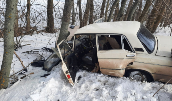 ВАЗ-2106 въехал в дерево.